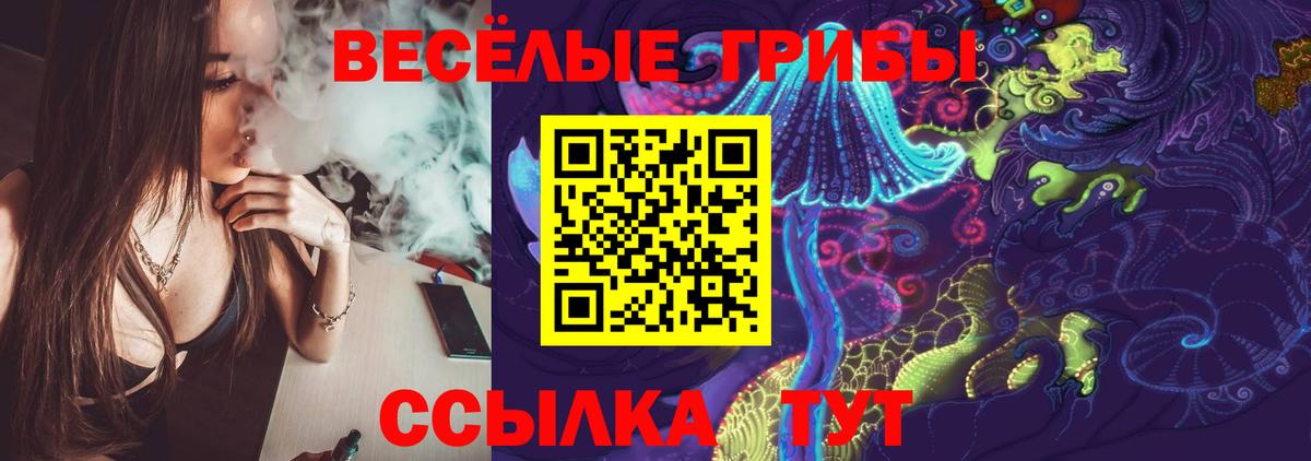 Чебоксары  Псилоцибиновые грибы Psilocybe  хочу наркоту  Вход с VPN 